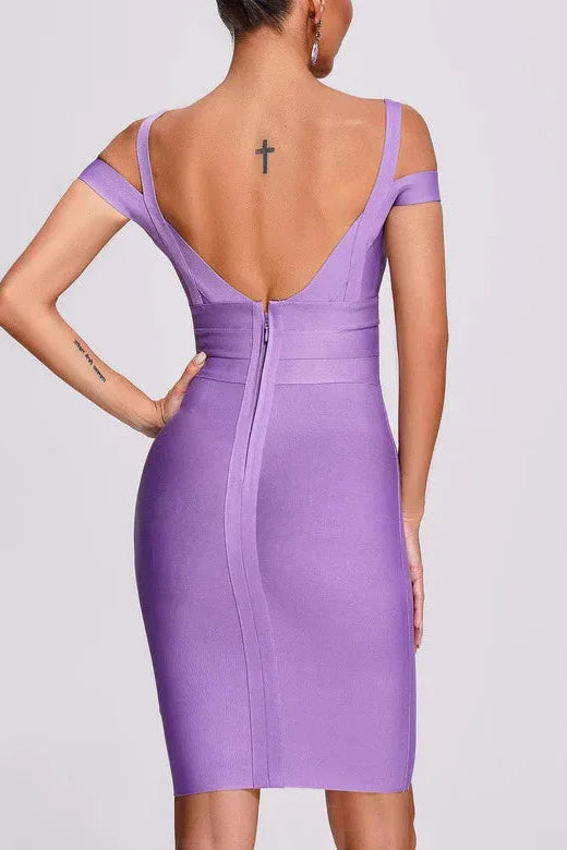 Backless Bodycon Mini  Dress